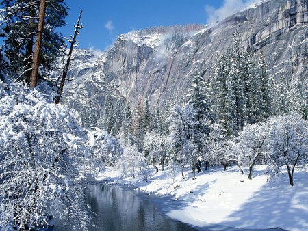 Wonderful views - river, trees, winter, photography, cold, snow, sunny day, light