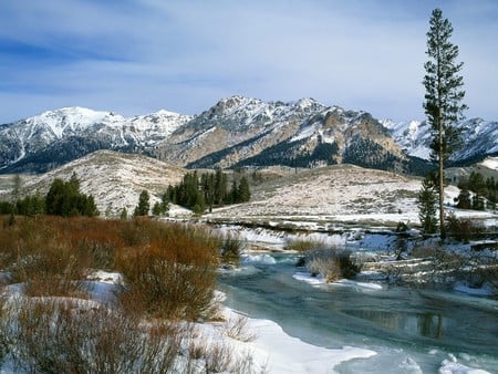 Rough Landscape - still, lake, cold, trees, mountain, snow, photography, winter