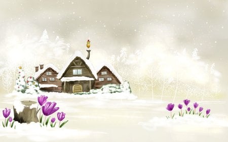 Snowy House - house, snow, winter