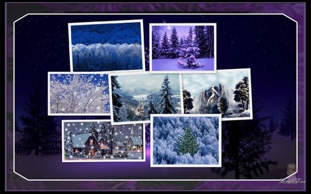 Framed in Purple - purple, winter, collage, xmas, widescreen, christmas, holiday, trees, snow