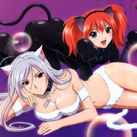 akashiya_moka-animal_ears-catgirl-rosariovampire-scan-shuzen_kokoa-vampire