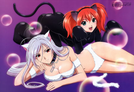 akashiya_moka-animal_ears-catgirl-rosariovampire-scan-shuzen_kokoa-vampire