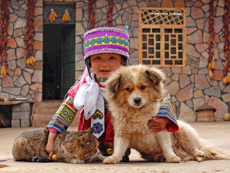 Three Friends - three friends, cool, picture, cat, kid, dog