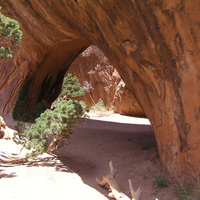 Navaho Arch