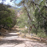 Ramsey Canyon