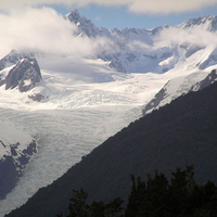 Fox Glacier