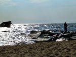 Fishing from a jetty