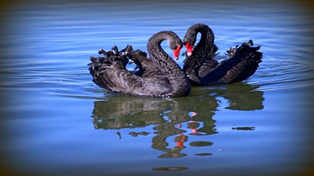 Romancing - lakes, water, beauty, romances, warm, loving, blue