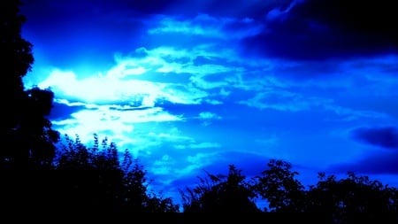 Once Again It's Blue - fascinating, sky, trees, light, blue, clouds, ray