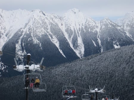 Mount Baker Ski Resort  - trees, snow, skiing, mountains, snowboarding