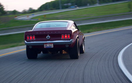 Mustang Sunday Drive - muscle car, mustang, car, classic, ford