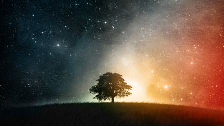 Cosmic Hilltop - space, abstract, scenary, stars, tree