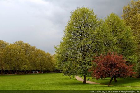 Green Park -6 - nature, green, park, garden