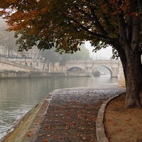 fall in paris