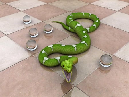 Snake  3d wallpaper.jpg - floor, marbles, snake