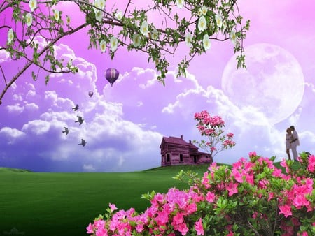 PINK - moon, sky, oink, couple, house, flowers