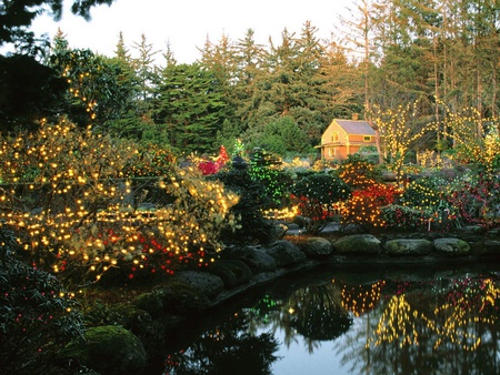 All Lit Up - house, pond, lights