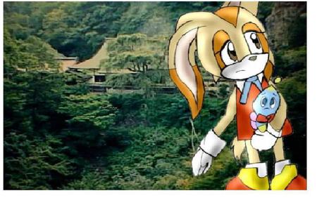 escape... - male, sad, cheese the chao, funny, kalido star ending, escape, kalido star escape, feamale, cream the rabbit, video games, cute