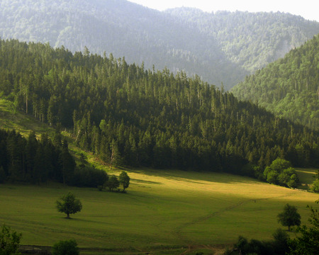 Tsagveri - georgia, nature, tsagveri