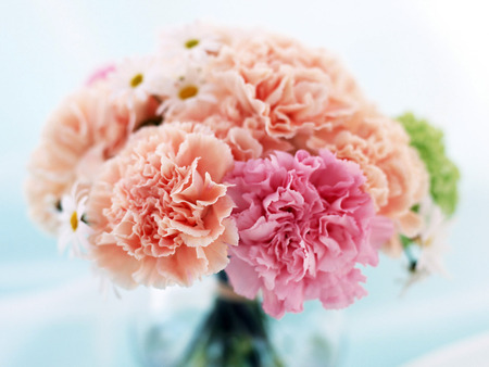 284. jpg - carnations, peach, pink, smells