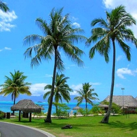 Cool Beach