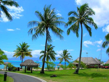 Cool Beach - cool beach, view, beautiful