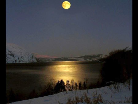 Moon Light - moon light, beautiful, view