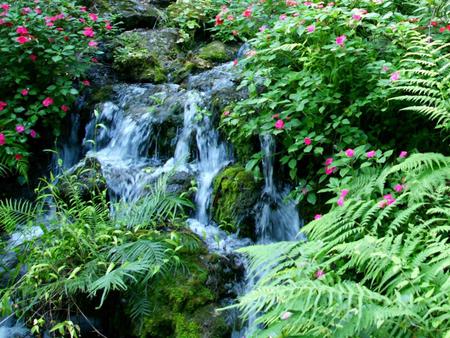 Waterfall - flowers, ferns, nature, waterfall