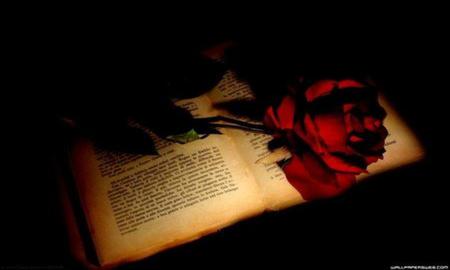 A Beautiful Story - passion, black hand, book, black, rose, dark, red, hand, words