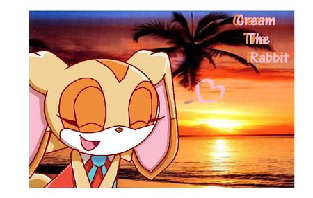 Welcome to cream's tropical resort!^_^! - sun set, beach, sun, water, tropical, feamale, waves, rabbit, sundae, segulls, blue, anime, video games, sonic