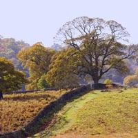 Autumn Countryside Bradgate