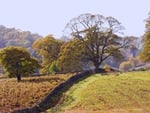 Autumn Countryside Bradgate