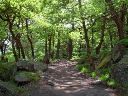 Rocky Footpath - path, greenery, trees, rocks