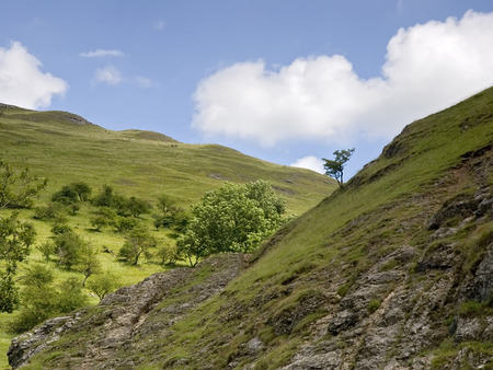 Green Hills Of The English Countryside - countryside, hills, grass, shrubery