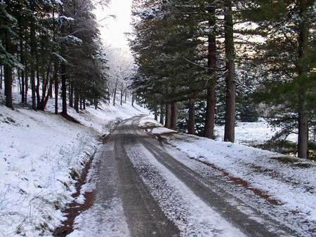 Derbyshire Winter - winter, trees, road, snow