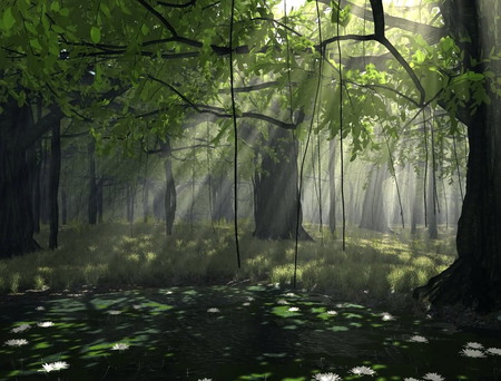 satori forest - nature, hot, morning, forest, tree