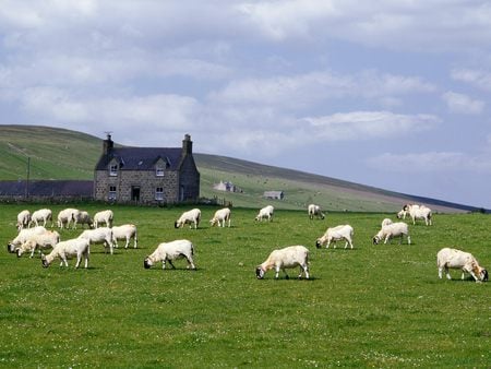 Grampian Farm Near Rhynie Scotland - farm, house