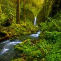 Waterfall in Green