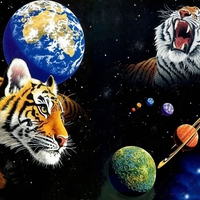 tiger-universe
