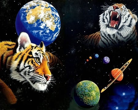 tiger-universe - abstract, complex, universe, 3d, cool, tiger