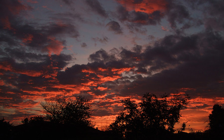 1467915206  484db0c72e  o.jpg - sky, trees, gray, clouds