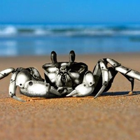 Crab robot