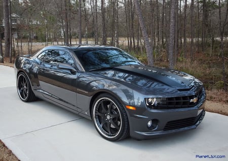 Cyber Gray - bowtie, 2010, gm, camaro