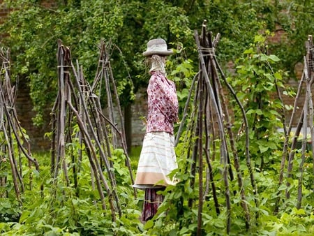 Female Scarecrow - field, spring, foliage, scarecrow