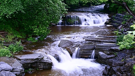 The Endless Flow - beauty, trees, cool, water, stream, rocks