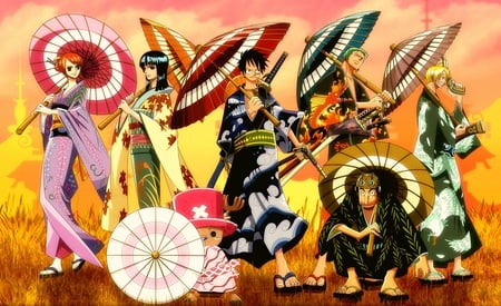 Anime - sanji, robin, one piece, chopper, monkey d luffy-nami, zoro, usopp