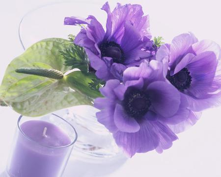 wonderful purple 1280x1024 .jpg - purple, candle sweet, flower