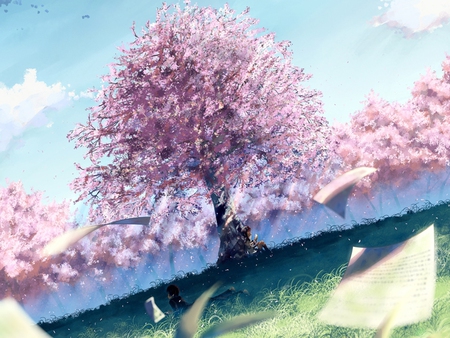 Lost poem - anime, sakura, blossom, girl, landscape, petals, tree, flowers, boy, poem, field