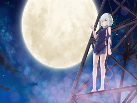 moon - anime, wallpapers, other