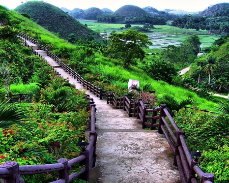 stairs in green